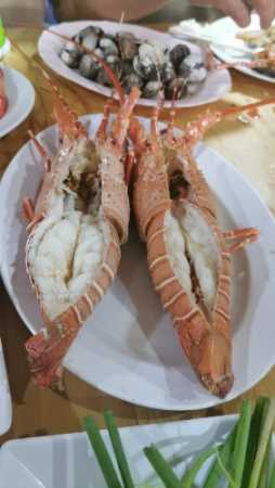 IMG-20221130-WA0021.jpg